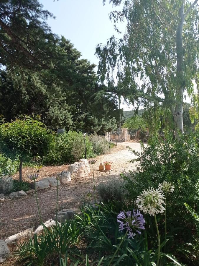 Dimora Dalia - Puglia Mia Apartments مونوبولي المظهر الخارجي الصورة