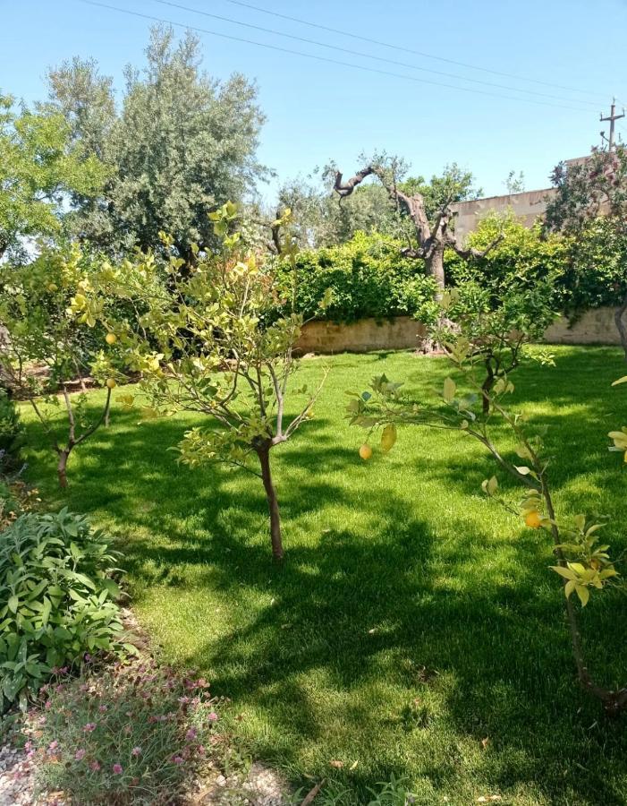 Dimora Dalia - Puglia Mia Apartments مونوبولي المظهر الخارجي الصورة